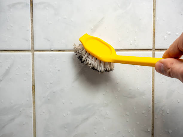 Mold Testing and Removal in Big Spring, TX