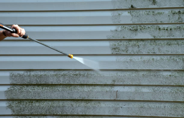 Best Mold Remediation Services  in Big Spring, TX