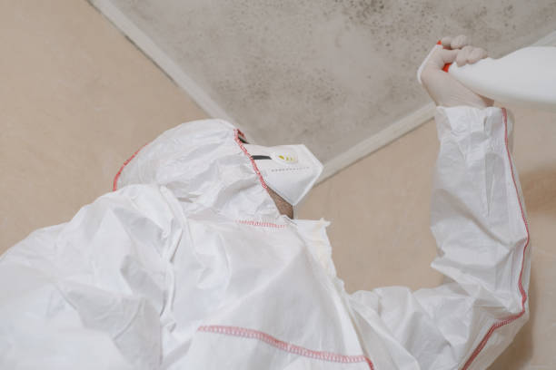 Best Mold Testing  in Big Spring, TX