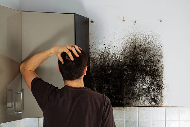 Crawl Space Mold Removal in Big Spring, TX